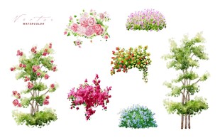 水彩花卉素材