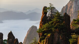 黄山奇松怪石风光