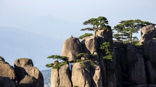黄山奇松怪石胜景