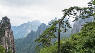 黄山迎客松山景风光