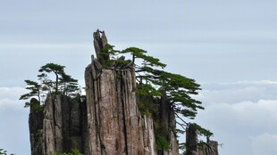 黄山奇峰苍松胜景