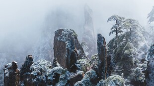 雪雾山间奇石怪松