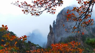 秋山红叶奇峰风光