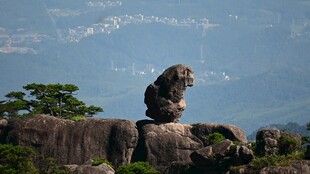 山顶奇石自然风光