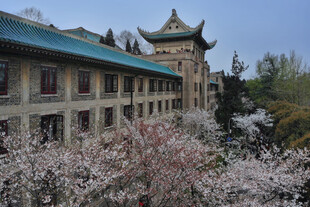 武大春日樱花古建筑