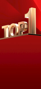 红底TOP1金色立体字