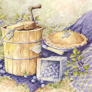复古蓝莓美食静物插画