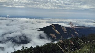 山巅云海风光