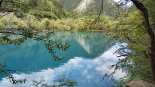 林间清潭自然风景