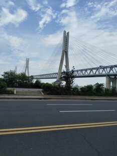 公路旁的斜拉大桥