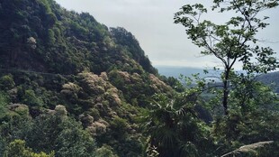 山间郊野自然风景