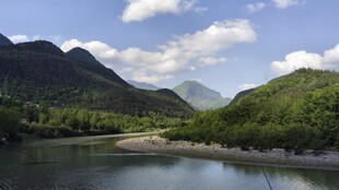 青山河畔自然美景