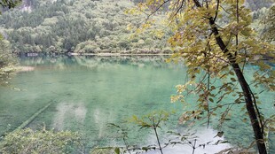 湖畔秋日清新风光