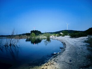 晴日湖岸自然风光