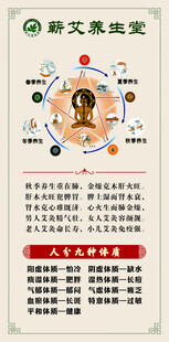 蕲艾养生 艾灸