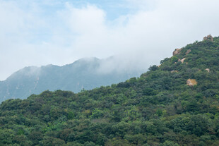 雾绕青山山野风光