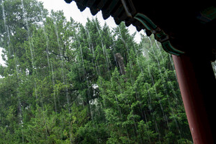 颐和园房檐下看雨