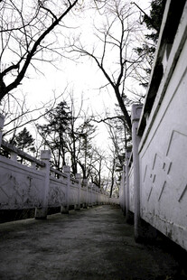 光阴