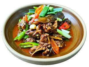 特色红烧鸭家常菜