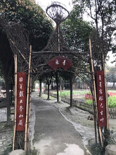 中式园林林荫步道