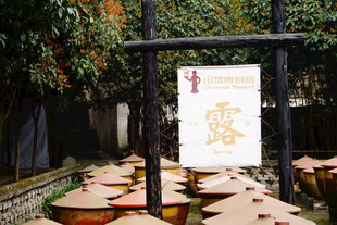 林间养蜂场蜂箱场景