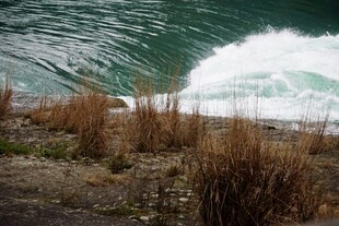 湖岸郊野自然风景