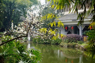 春日园林水畔亭台美景
