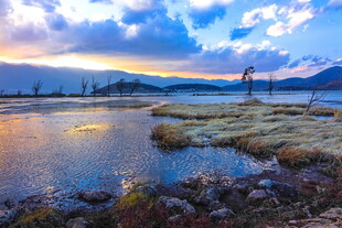 黄昏湿地湖岸风光