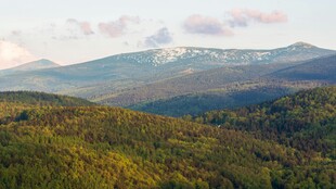 郊野远山晨曦风光
