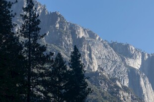 高山晴日松林景观