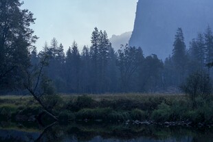 晨雾山林山野风光