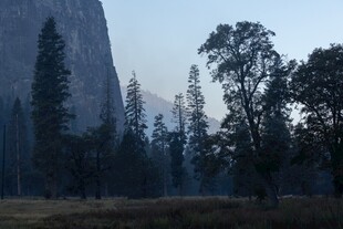 清晨山林峡谷风光