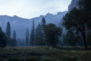 雾中山林山谷风光
