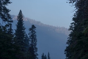 雾色山林远景