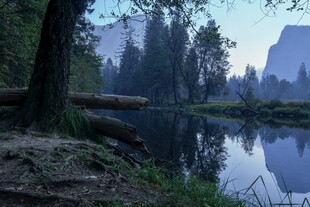 湖畔林间朦胧晨景