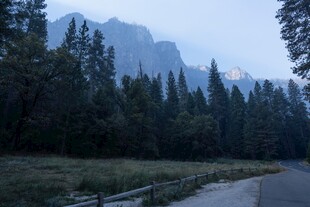 郊野山林公路远景