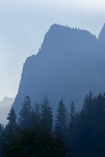 晨雾山景松林风光