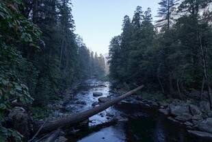 林间溪流晨景