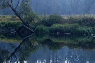 郊野朦胧湖岸水景风光