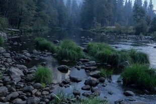 林间浅滩溪流风光