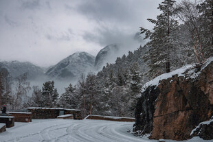 风雪中的山林冬景