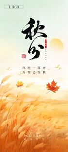 秋分节气金秋主题海报