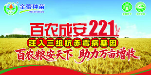 百农成安221种子宣传