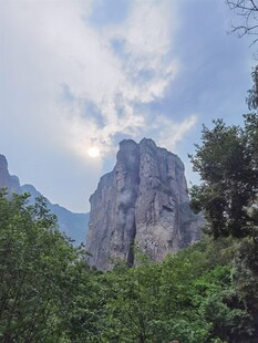 山