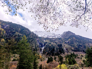 川西风景