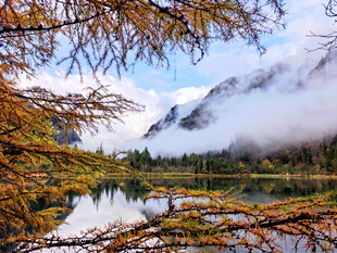 毕棚沟风景