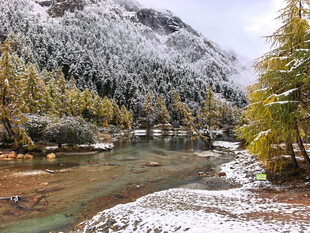 毕棚沟雪景