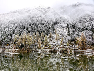 湖边雪景