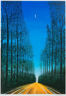 月夜林间公路插画