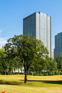 城市绿地高楼景观